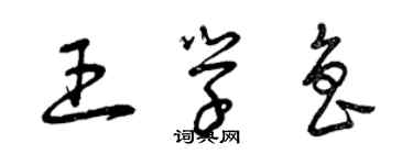 曾慶福王學魯草書個性簽名怎么寫