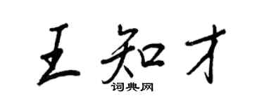 王正良王知才行書個性簽名怎么寫