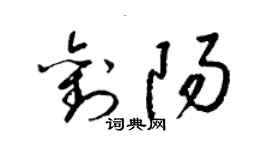 梁錦英劉陽草書個性簽名怎么寫