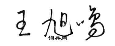 駱恆光王旭鳴草書個性簽名怎么寫