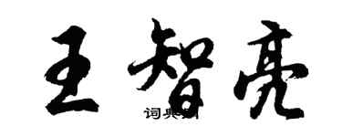 胡問遂王智亮行書個性簽名怎么寫