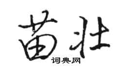 駱恆光苗壯行書個性簽名怎么寫