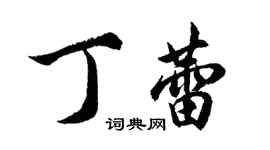 胡問遂丁蕾行書個性簽名怎么寫