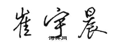 駱恆光崔宇晨行書個性簽名怎么寫