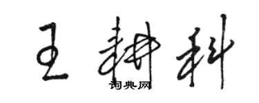 駱恆光王耕科草書個性簽名怎么寫