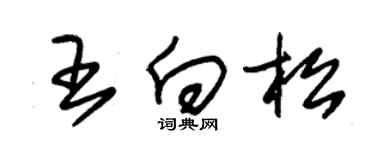 朱錫榮王向松草書個性簽名怎么寫