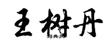 胡問遂王樹丹行書個性簽名怎么寫