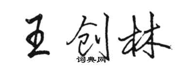 駱恆光王創林行書個性簽名怎么寫