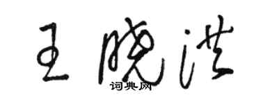 駱恆光王曉洪草書個性簽名怎么寫