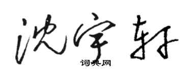 駱恆光沈宇軒草書個性簽名怎么寫