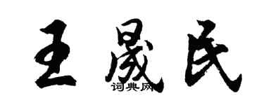 胡問遂王晟民行書個性簽名怎么寫