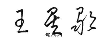 駱恆光王星歌草書個性簽名怎么寫