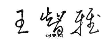 駱恆光王智雅草書個性簽名怎么寫