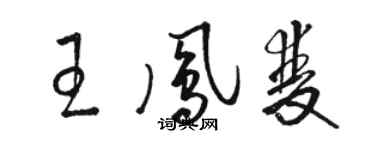駱恆光王鳳雙草書個性簽名怎么寫