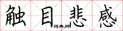 荊霄鵬觸目悲感楷書怎么寫