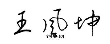 梁錦英王風坤草書個性簽名怎么寫