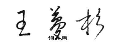 駱恆光王夢杉草書個性簽名怎么寫