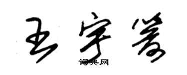 朱錫榮王宇箭草書個性簽名怎么寫