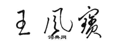駱恆光王風寶草書個性簽名怎么寫