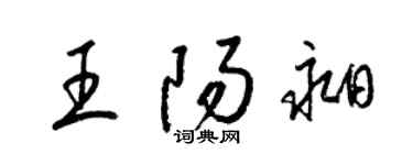 梁錦英王陽昶草書個性簽名怎么寫