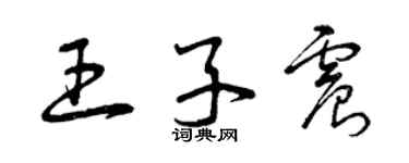 曾慶福王子震草書個性簽名怎么寫