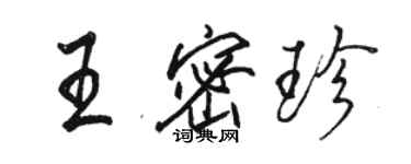 駱恆光王密珍行書個性簽名怎么寫