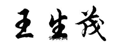 胡問遂王生茂行書個性簽名怎么寫