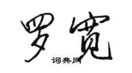 駱恆光羅寬行書個性簽名怎么寫