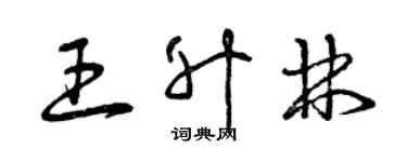 曾慶福王升林草書個性簽名怎么寫