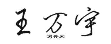 駱恆光王萬宇行書個性簽名怎么寫