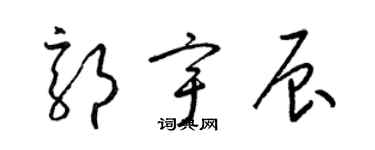 梁錦英郭宇辰草書個性簽名怎么寫