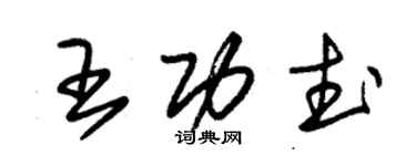 朱錫榮王功武草書個性簽名怎么寫