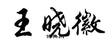 胡問遂王曉徽行書個性簽名怎么寫