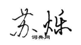 駱恆光蘇爍行書個性簽名怎么寫