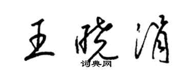 梁錦英王曉涓草書個性簽名怎么寫