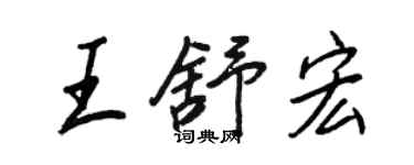 王正良王舒宏行書個性簽名怎么寫