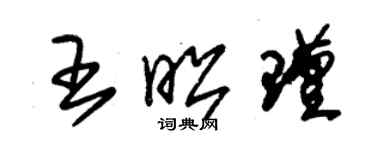 朱錫榮王昭瑾草書個性簽名怎么寫