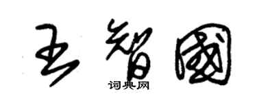 朱錫榮王智國草書個性簽名怎么寫