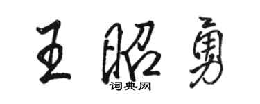 駱恆光王昭勇行書個性簽名怎么寫