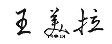 駱恆光王美拉行書個性簽名怎么寫