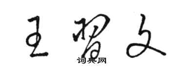 駱恆光王習文草書個性簽名怎么寫