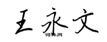 王正良王永文行書個性簽名怎么寫