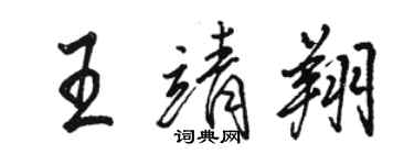 駱恆光王靖翔行書個性簽名怎么寫