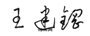 駱恆光王建鋼草書個性簽名怎么寫