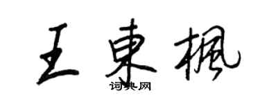 王正良王東楓行書個性簽名怎么寫