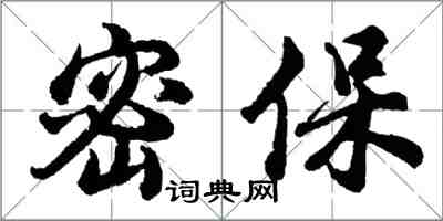 胡問遂密保行書怎么寫