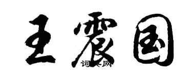 胡問遂王震國行書個性簽名怎么寫