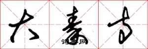 朱錫榮大秦寺草書怎么寫