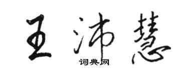 駱恆光王沛慧行書個性簽名怎么寫