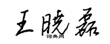 王正良王曉磊行書個性簽名怎么寫